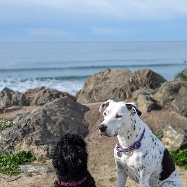 Max and Alexandra